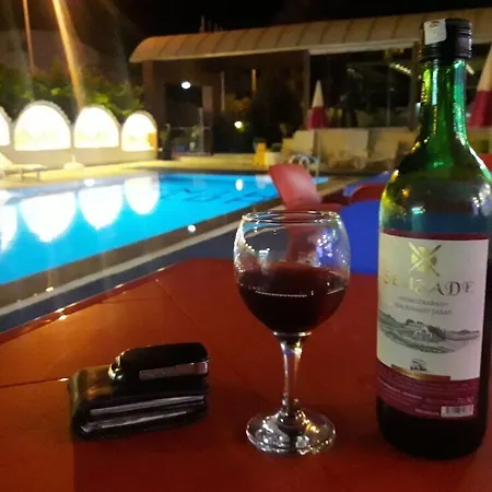 ホテル Minay クシャダス